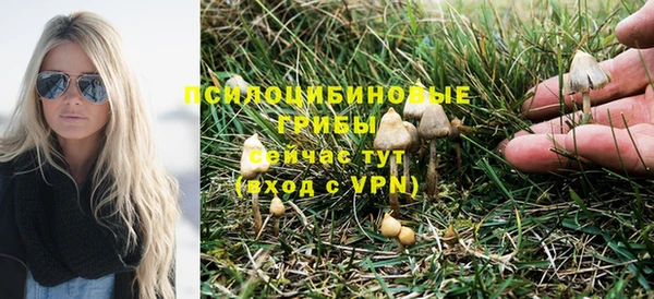 прущий лед Алексин