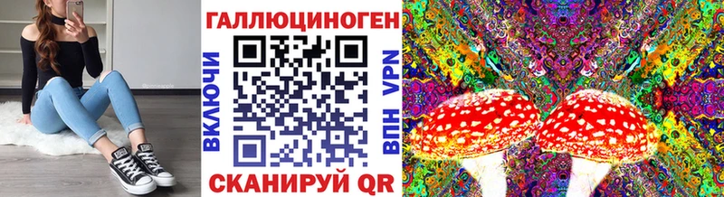 Псилоцибиновые грибы прущие грибы  hydra ONION  Павловский Посад  как найти закладки 